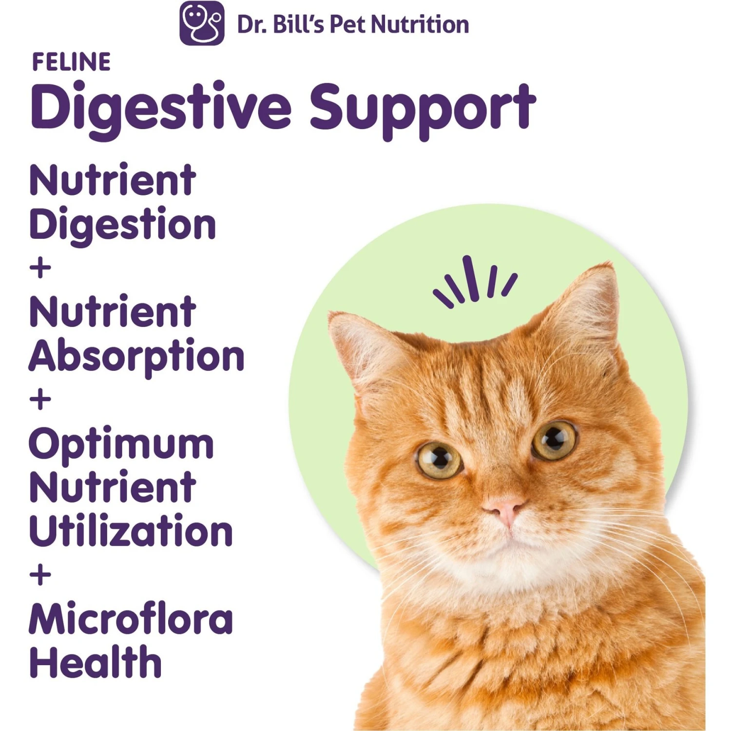 Dr. Bill's Pet Nutrition Feline Digestive Support Cat Supplement Powder, 60-gm Pouch 4 Dr. Bill's Pet Nutrition Feline Digestive Support Cat Supplement Powder, 60-gm Pouch - Image 2