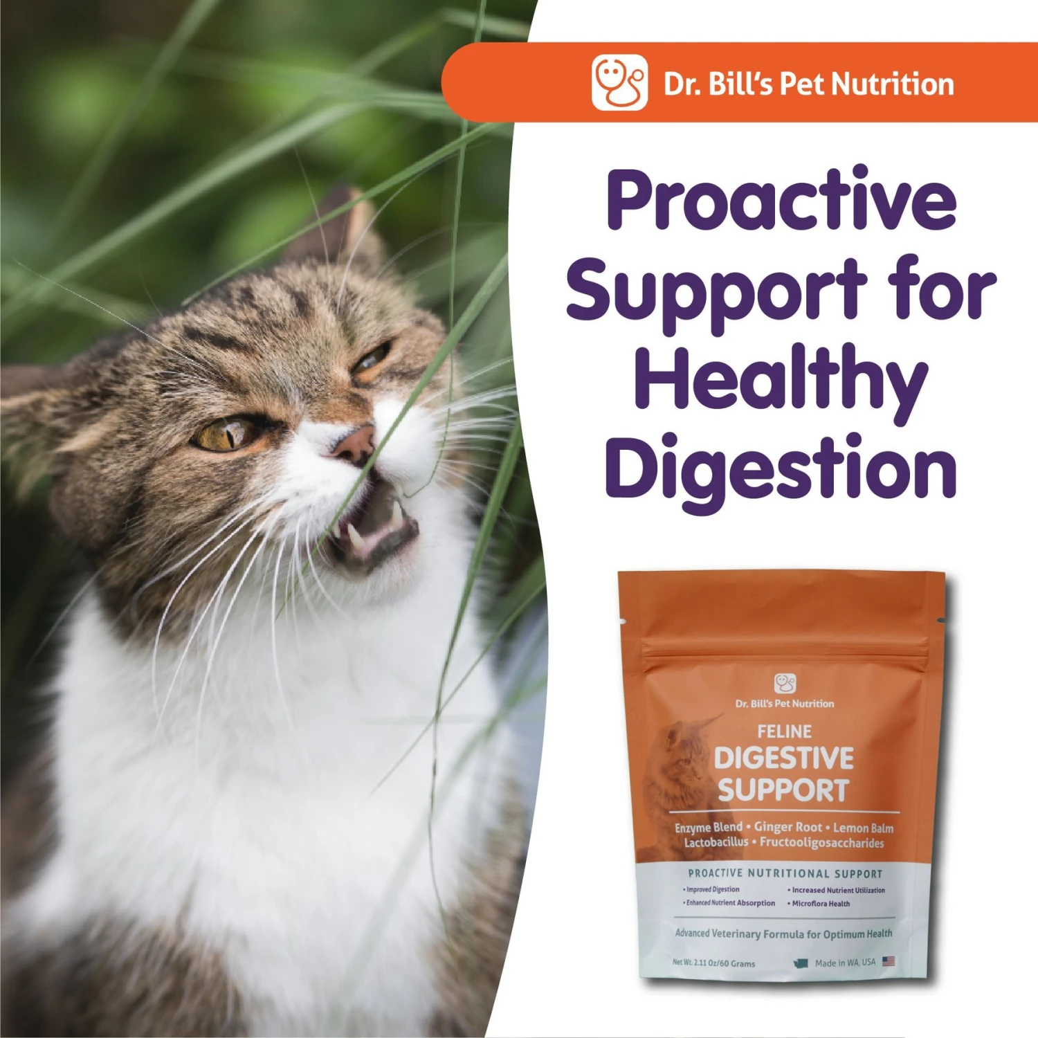 Dr. Bill's Pet Nutrition Feline Digestive Support Cat Supplement Powder, 60-gm Pouch 9 Dr. Bill's Pet Nutrition Feline Digestive Support Cat Supplement Powder, 60-gm Pouch - Image 7