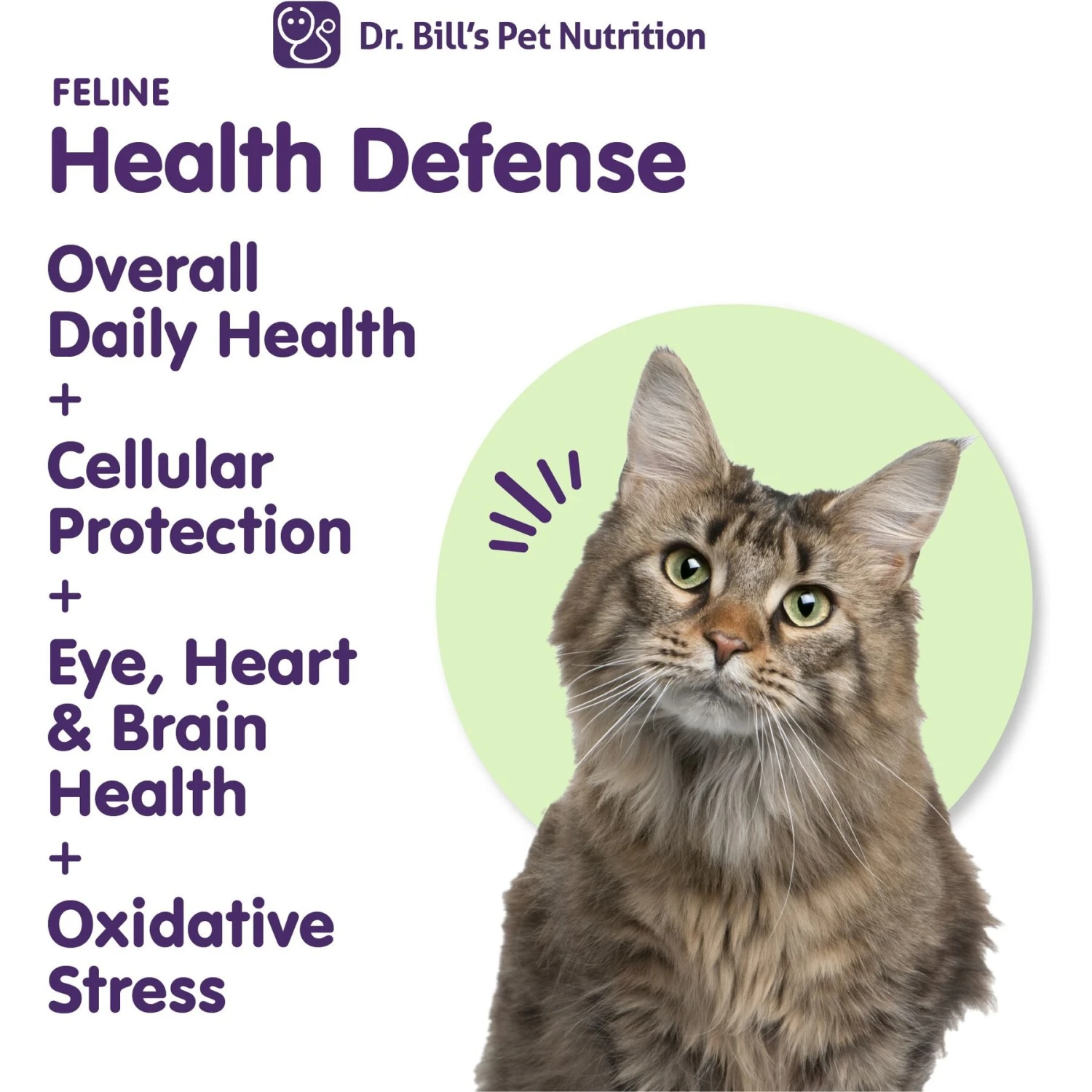 Dr. Bill's Pet Nutrition Feline Health Defense Cat Supplement Powder, 60-gm Pouch 4 Dr. Bill's Pet Nutrition Feline Health Defense Cat Supplement Powder, 60-gm Pouch - Image 2