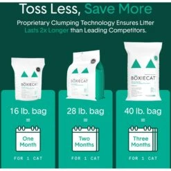 Boxiecat Gently Scented Premium Clumping Clay Cat Litter -Trixie || Catit || Nature's Miracle Shop 582094 PT5. AC SS1800 V1658618566