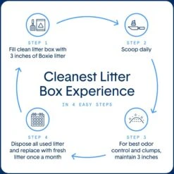 Boxiecat Extra Strength Unscented Premium Clumping Clay Cat Litter 15 Boxiecat Extra Strength Unscented Premium Clumping Clay Cat Litter -Trixie || Catit || Nature's Miracle Shop 582110 PT6. AC SS1800 V1658678546