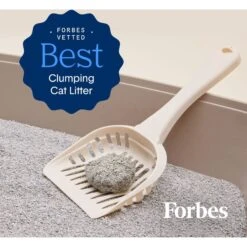 Boxiecat Deep Clean Unscented Probiotic Clumping Clay Cat Litter -Trixie || Catit || Nature's Miracle Shop 582126 PT5. AC SS1800 V1658624606