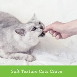 Buddy Biscuits Grain-Free With Tender Chicken Cat Treats -Trixie || Catit || Nature's Miracle Shop 60709 PT7. AC SS1800 V1601098856