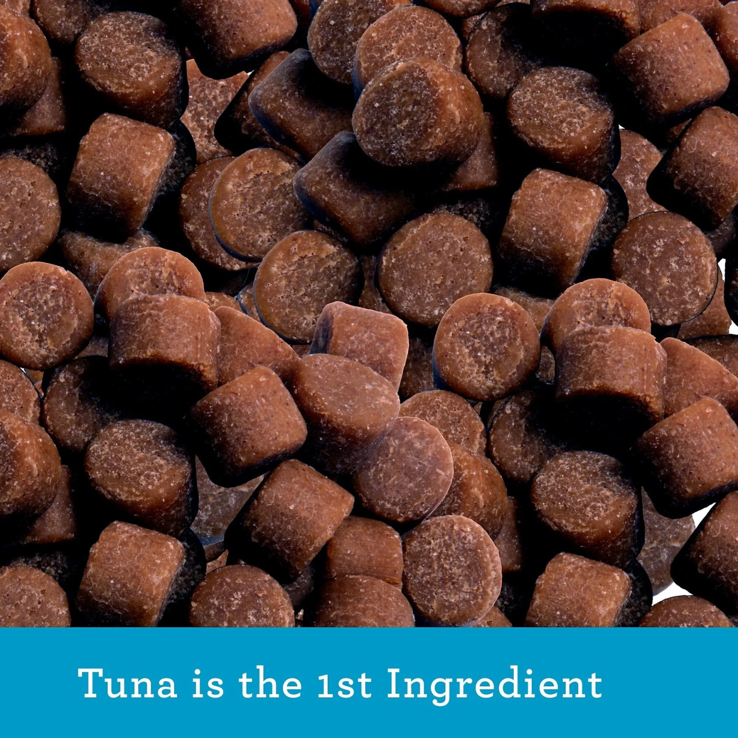 Buddy Biscuits Grain-Free With Tempting Tuna Cat Treats 6 Buddy Biscuits Grain-Free With Tempting Tuna Cat Treats - Image 4