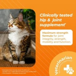 VetriScience GlycoFlex 3 Chicken Liver Flavored Soft Chews Joint Supplement For Cats -Trixie || Catit || Nature's Miracle Shop 60806 PT1. AC SS1800 V1649862706