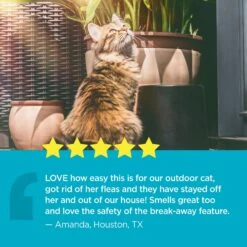 TevraPet ProAct Flea & Tick Cat Collars, 2 Count -Trixie || Catit || Nature's Miracle Shop 612198 PT3. AC SS1800 V1660244922