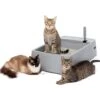 PetSafe Multi-Cat Litter Box 1 PetSafe Multi-Cat Litter Box -Trixie || Catit || Nature's Miracle Shop 617526 MAIN. AC SS1800 V1660233556