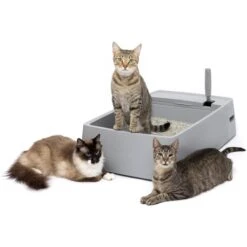 PetSafe Multi-Cat Litter Box -Trixie || Catit || Nature's Miracle Shop 617526 PT6. AC SS1800 V1660255555