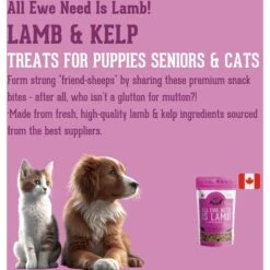 The Granville Island Pet Treatery All Ewe Need Is Lamb Soft Chew Treats, 6.17-oz Bag -Trixie || Catit || Nature's Miracle Shop 629974 PT3. AC SS1800 V1700161720
