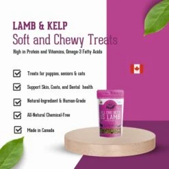 The Granville Island Pet Treatery All Ewe Need Is Lamb Soft Chew Treats, 6.17-oz Bag -Trixie || Catit || Nature's Miracle Shop 629974 PT5. AC SS1800 V1700161716