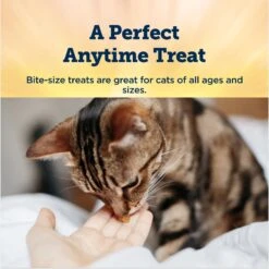 Blue Buffalo True Chews Natural Chewy Chicken Cat Treats -Trixie || Catit || Nature's Miracle Shop 631710 PT3. AC SS1800 V1692037215