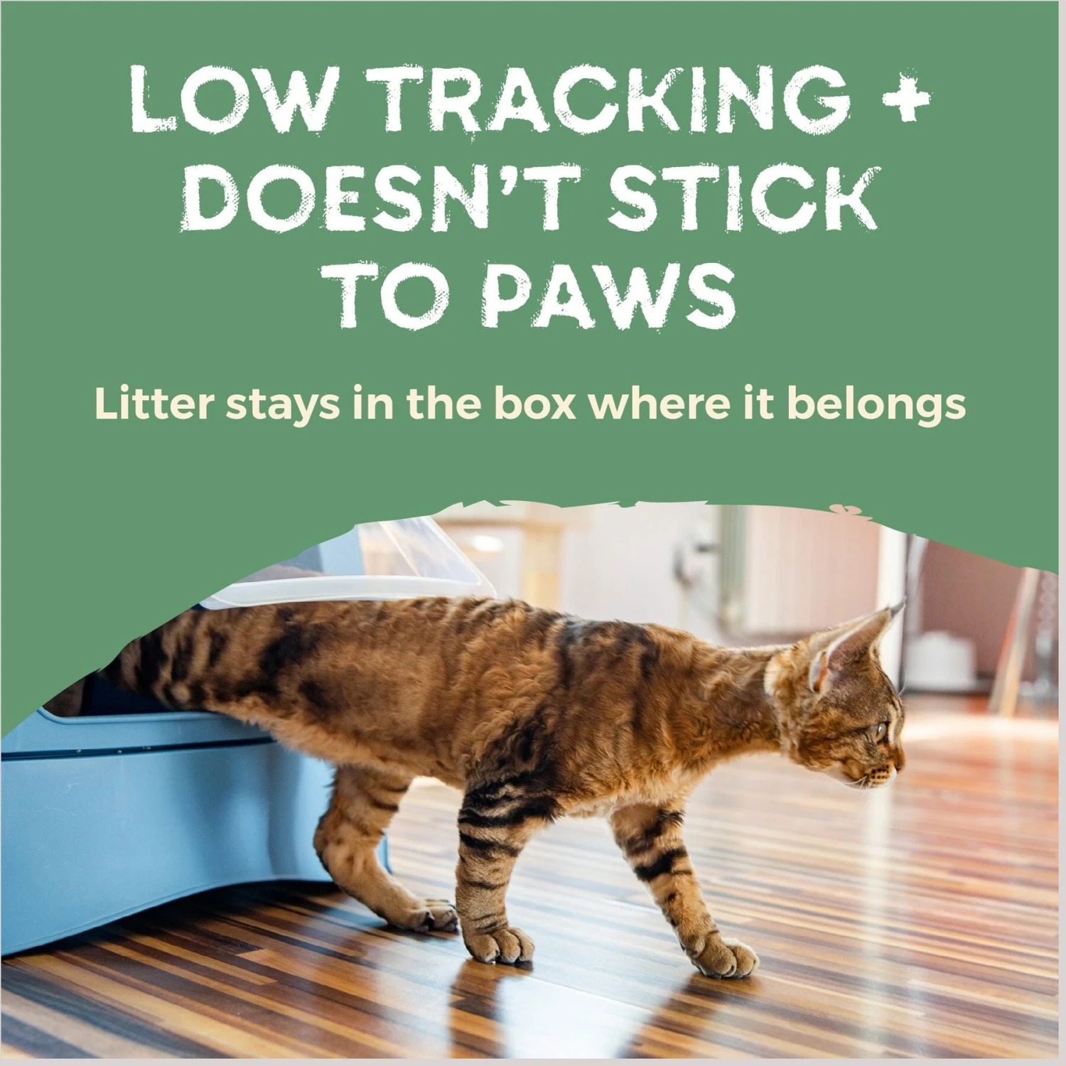 Naturally Fresh Quick Clumping Unscented Cat Litter, 40-lb Bag 9 Naturally Fresh Quick Clumping Unscented Cat Litter, 40-lb Bag - Image 7