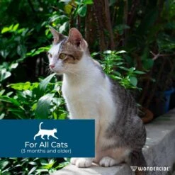 Wondercide Spot-On Peppermint Flea & Tick Spot Treatment For Cats, 3 Doses (3-mos. Supply) 11 Wondercide Spot-On Peppermint Flea & Tick Spot Treatment For Cats, 3 Doses (3-mos. Supply) -Trixie || Catit || Nature's Miracle Shop 639678 PT2. AC SS1800 V1704319587