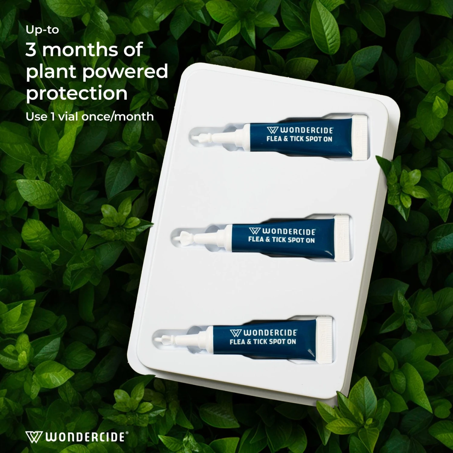 Wondercide Spot-On Peppermint Flea & Tick Spot Treatment For Cats, 3 Doses (3-mos. Supply) 6 Wondercide Spot-On Peppermint Flea & Tick Spot Treatment For Cats, 3 Doses (3-mos. Supply) - Image 4