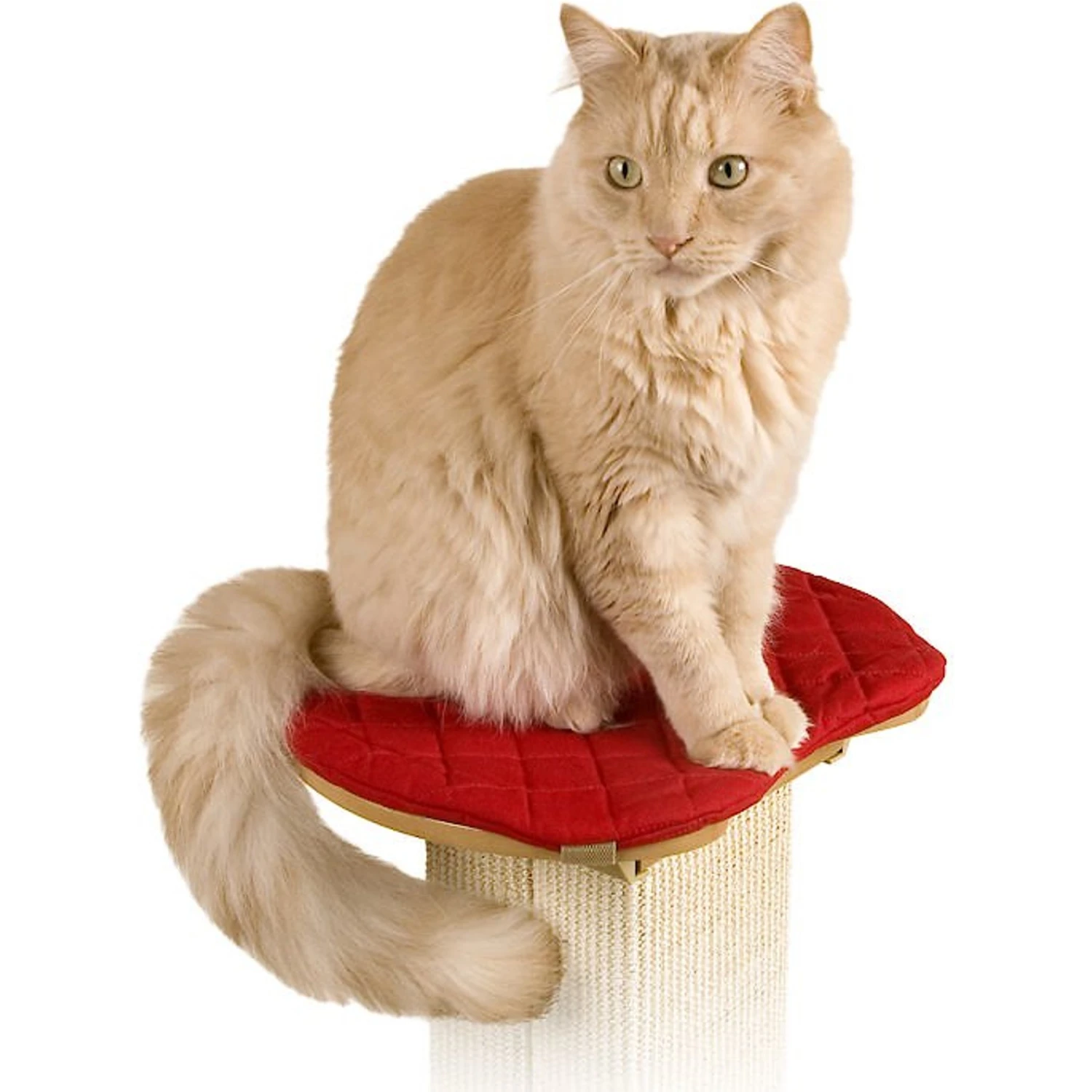 SmartCat The Ultimate Cat Scratching Post Perch Pad 3 SmartCat The Ultimate Cat Scratching Post Perch Pad