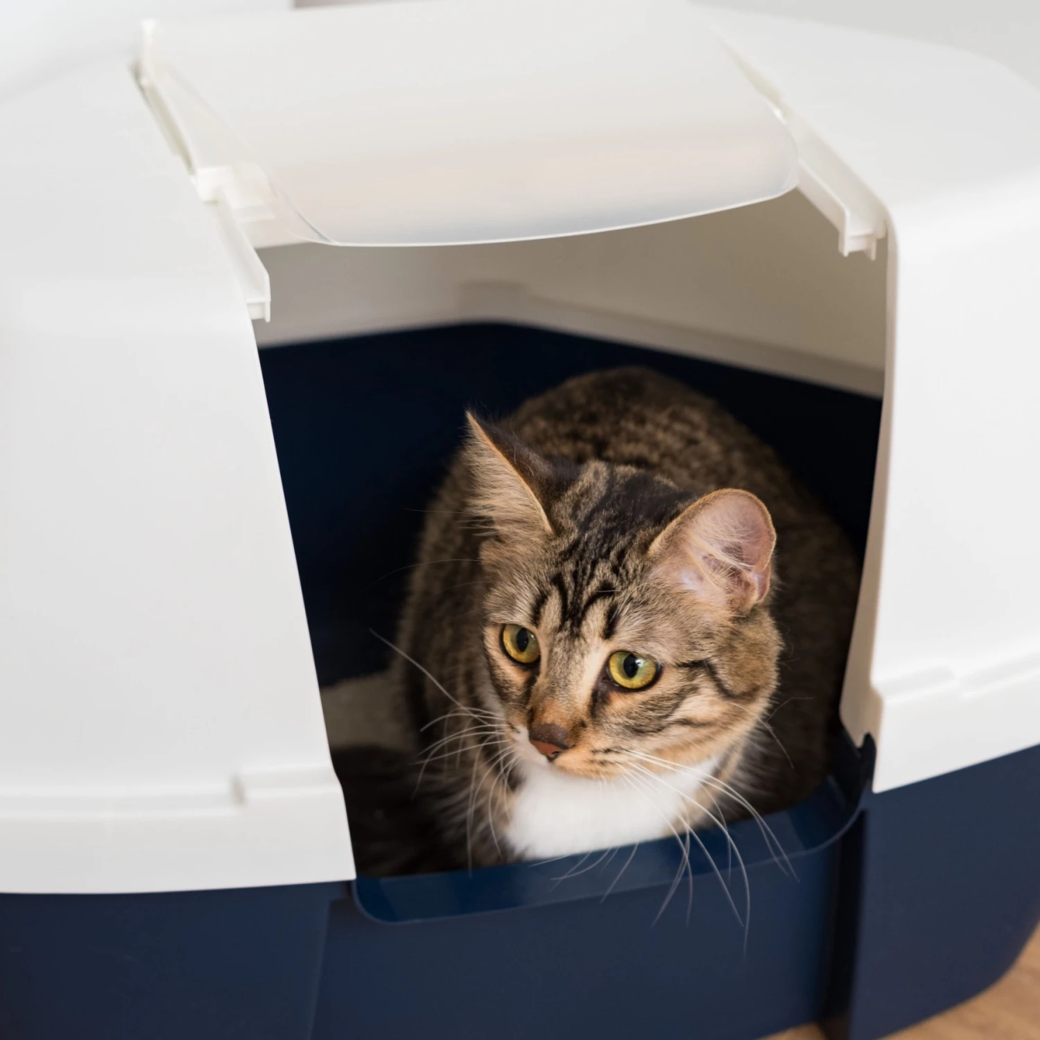 IRIS USA Hooded Corner Cat Litter Box With Front Door Flap 9 IRIS USA Hooded Corner Cat Litter Box With Front Door Flap - Image 7