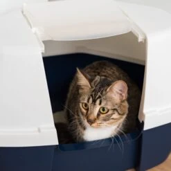 IRIS USA Hooded Corner Cat Litter Box With Front Door Flap 19 IRIS USA Hooded Corner Cat Litter Box With Front Door Flap -Trixie || Catit || Nature's Miracle Shop 645502 PT8. AC SS1800 V1685468316