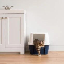 IRIS USA Jumbo Enclosed Hooded Cat Litter Box With Front Door Flap 9 IRIS USA Jumbo Enclosed Hooded Cat Litter Box With Front Door Flap -Trixie || Catit || Nature's Miracle Shop 645518 PT1. AC SS1800 V1687785354