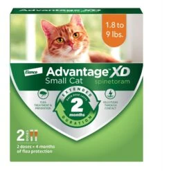 Advantage XD Small Cat Treatment