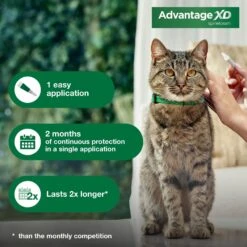 Advantage XD Small Cat Treatment -Trixie || Catit || Nature's Miracle Shop 645926 PT4. AC SS1800 V1698157641