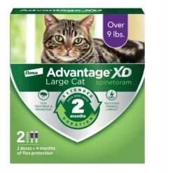 Advantage XD Large Cat Treatment