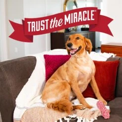 Nature's Miracle Pet Block Repellent Spray 19 Nature's Miracle Pet Block Repellent Spray -Trixie || Catit || Nature's Miracle Shop 646238 PT8. AC SS1800 V1668025401