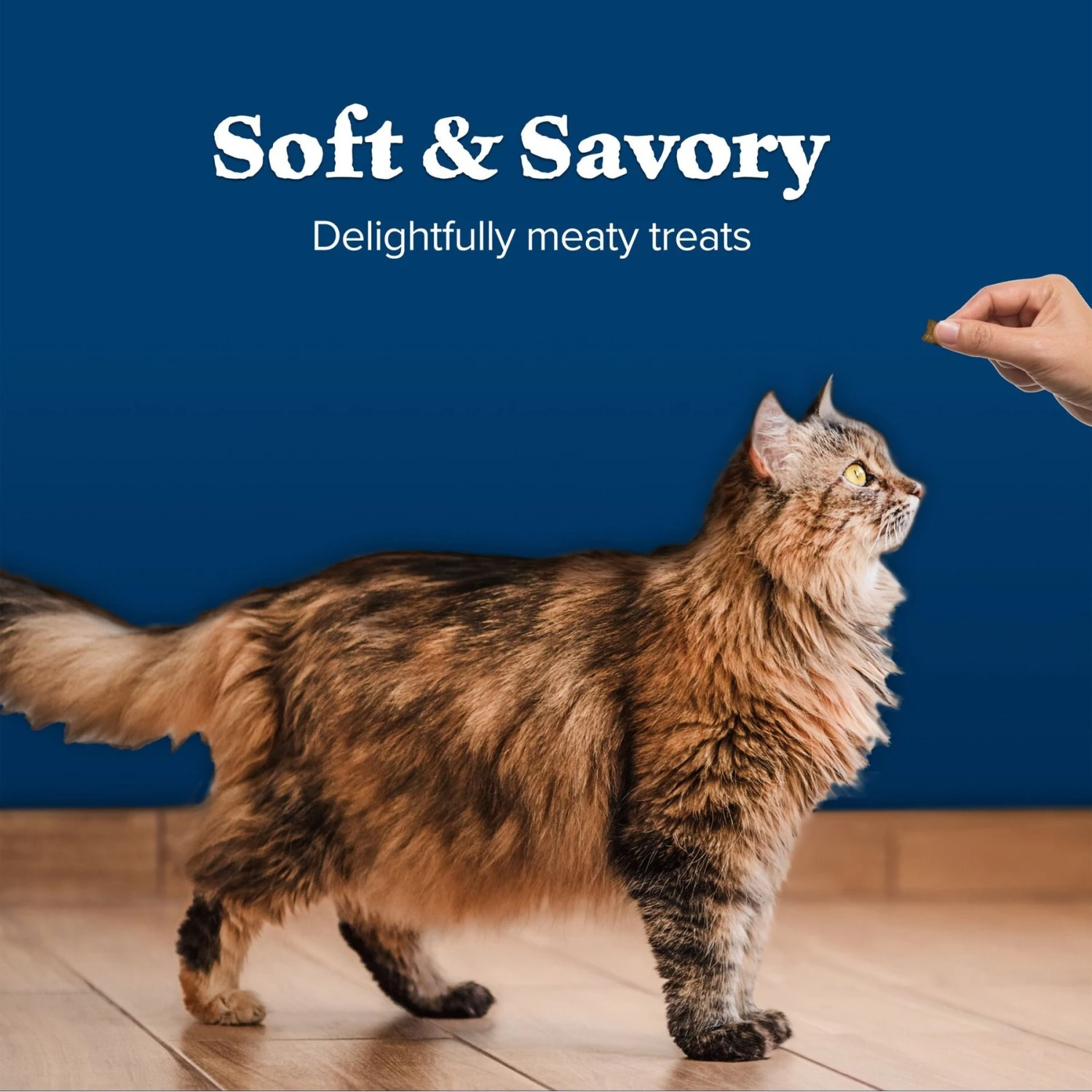 Blue Buffalo Wilderness Chicken & Duck Grain-Free Cat Treats 8 Blue Buffalo Wilderness Chicken & Duck Grain-Free Cat Treats - Image 6