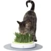Catit Design Senses Grass Garden Kit -Trixie || Catit || Nature's Miracle Shop 64917. AC SS1800 V1460478784