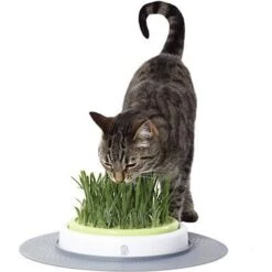 Catit Design Senses Grass Garden Kit