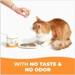 Alpha Paw Cat L-Lysine Immune Support Cat Supplement, 8-oz Jar 14 Alpha Paw Cat L-Lysine Immune Support Cat Supplement, 8-oz Jar -Trixie || Catit || Nature's Miracle Shop 653862 PT6. AC SS1800 V1665756959