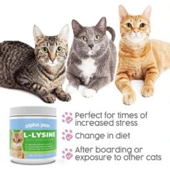 Alpha Paw Cat L-Lysine Immune Support Cat Supplement, 8-oz Jar 15 Alpha Paw Cat L-Lysine Immune Support Cat Supplement, 8-oz Jar -Trixie || Catit || Nature's Miracle Shop 653862 PT7. AC SS1800 V1665666913