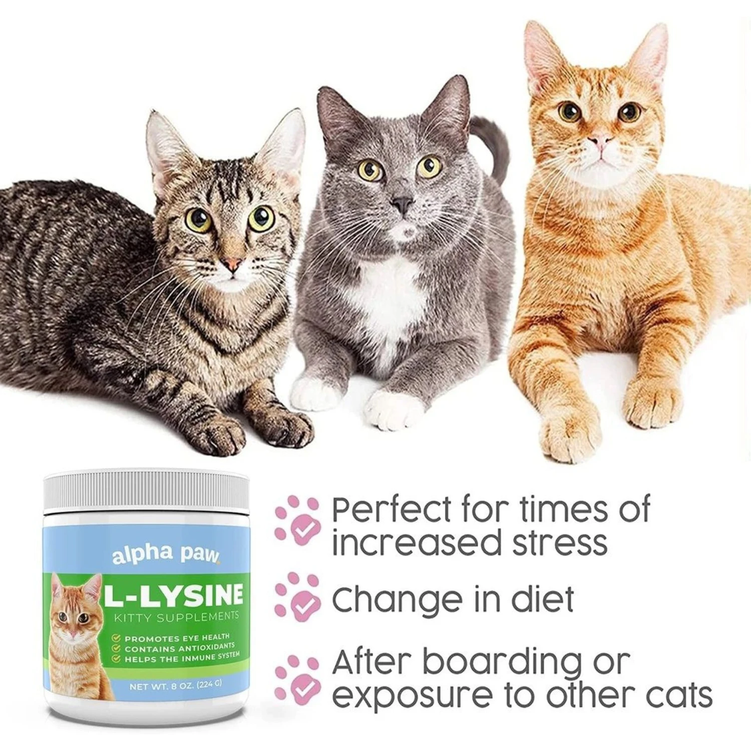 Alpha Paw Cat L-Lysine Immune Support Cat Supplement, 8-oz Jar 9 Alpha Paw Cat L-Lysine Immune Support Cat Supplement, 8-oz Jar - Image 7