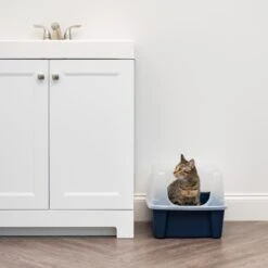 IRIS USA Open Top Litter Box With Scatter Shield 13 IRIS USA Open Top Litter Box With Scatter Shield -Trixie || Catit || Nature's Miracle Shop 65498 PT2. AC SS1800 V1680803978