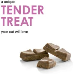 Fancy Feast Savory Cravings Beef Flavor Limited Ingredient Soft Cat Treats 13 Fancy Feast Savory Cravings Beef Flavor Limited Ingredient Soft Cat Treats -Trixie || Catit || Nature's Miracle Shop 658454 PT2. AC SS1800 V1664313960