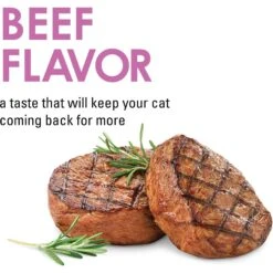 Fancy Feast Savory Cravings Beef Flavor Limited Ingredient Soft Cat Treats 15 Fancy Feast Savory Cravings Beef Flavor Limited Ingredient Soft Cat Treats -Trixie || Catit || Nature's Miracle Shop 658454 PT4. AC SS1800 V1664313905