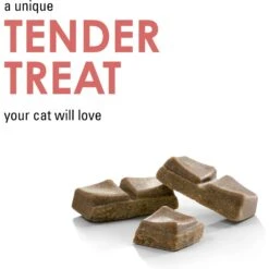 Fancy Feast Savory Cravings Salmon Flavor Limited Ingredient Soft Cat Treats 13 Fancy Feast Savory Cravings Salmon Flavor Limited Ingredient Soft Cat Treats -Trixie || Catit || Nature's Miracle Shop 658470 PT2. AC SS1800 V1664314163