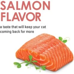 Fancy Feast Savory Cravings Salmon Flavor Limited Ingredient Soft Cat Treats 15 Fancy Feast Savory Cravings Salmon Flavor Limited Ingredient Soft Cat Treats -Trixie || Catit || Nature's Miracle Shop 658470 PT4. AC SS1800 V1664313905