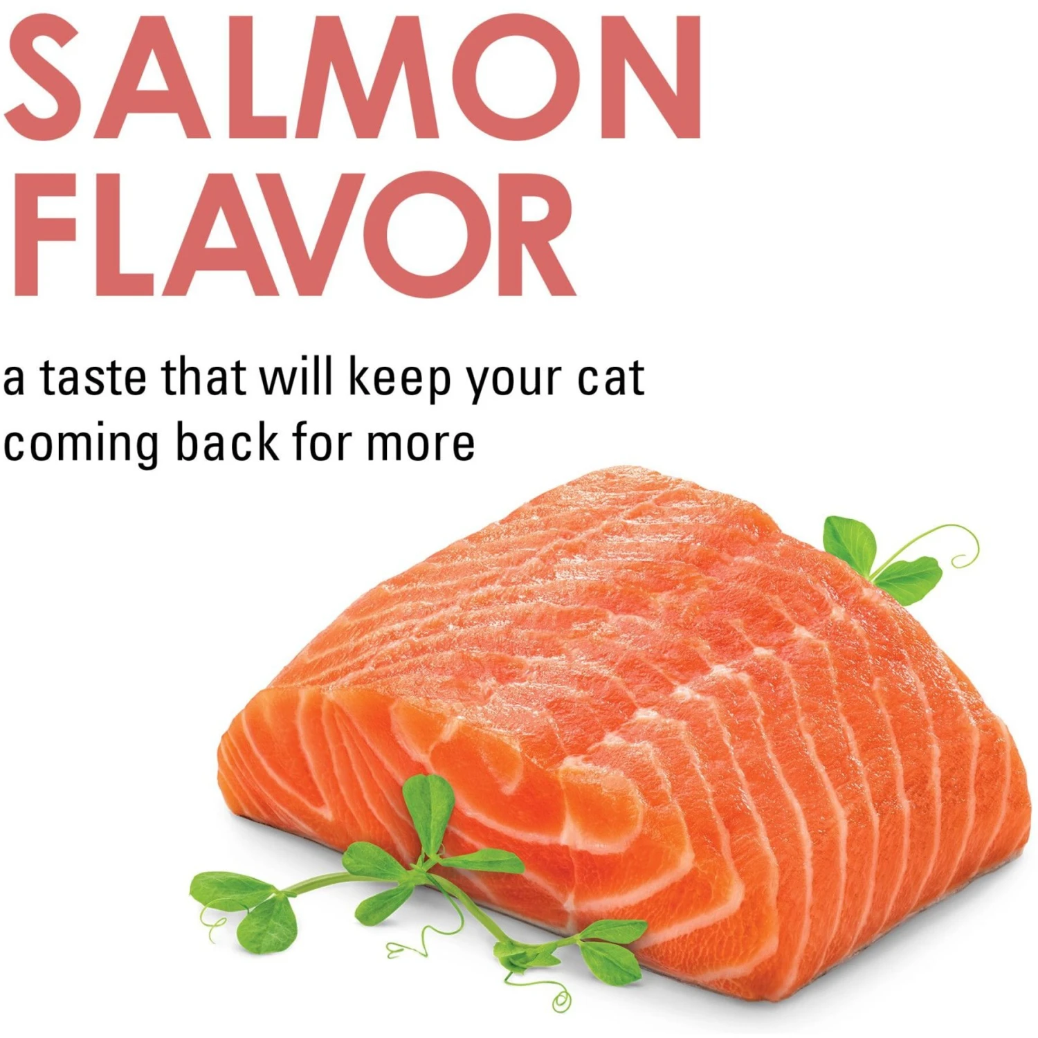 Fancy Feast Savory Cravings Salmon Flavor Limited Ingredient Soft Cat Treats 7 Fancy Feast Savory Cravings Salmon Flavor Limited Ingredient Soft Cat Treats - Image 5