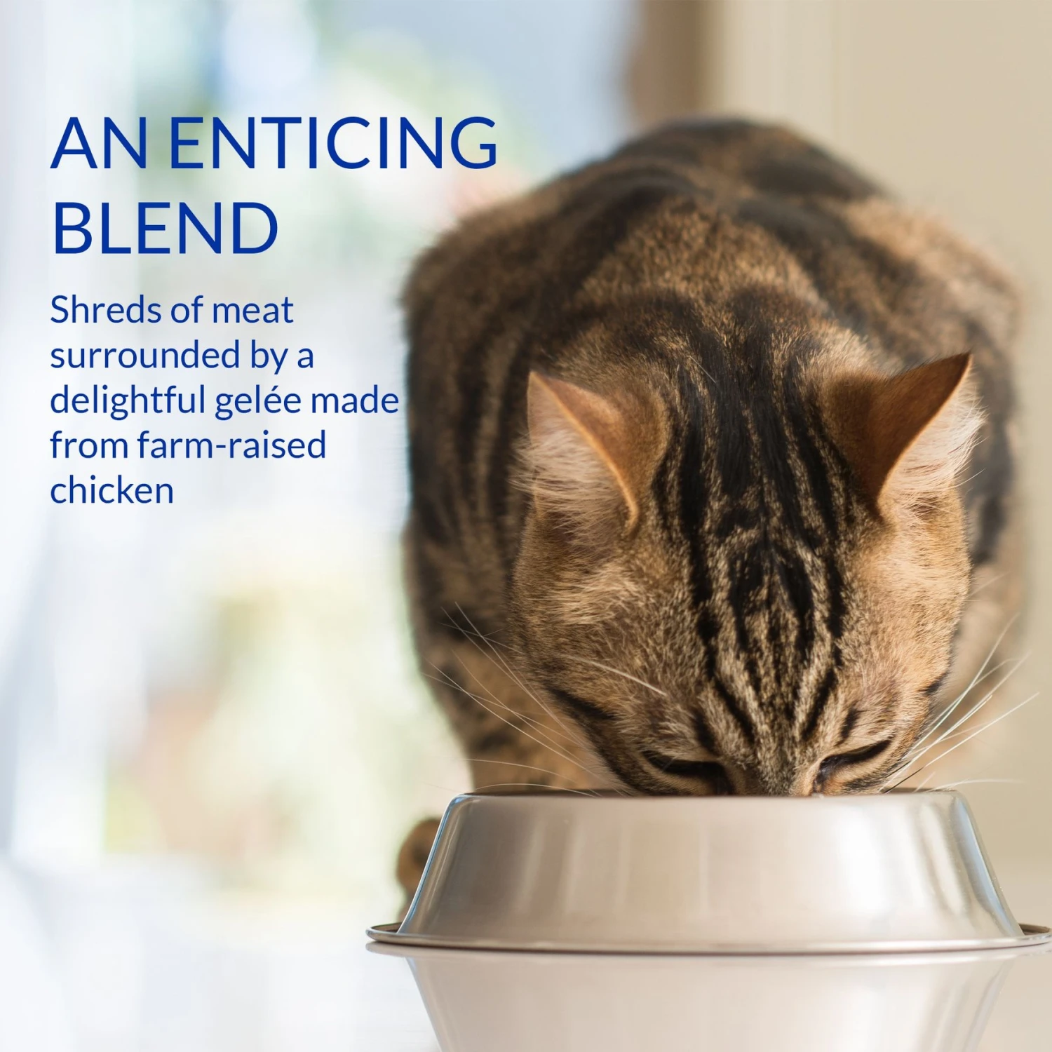 Inaba Churu Stew Chicken With Scallop Recipe Grain-Free Lickable Cat Treats, 1.4-oz Tube, 1 Count 8 Inaba Churu Stew Chicken With Scallop Recipe Grain-Free Lickable Cat Treats, 1.4-oz Tube, 1 Count - Image 6