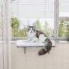 Coziwow Cat Window Perch & Windowsill Bed With Soft Cushion -Trixie || Catit || Nature's Miracle Shop 671494 MAIN. AC SS1800 V1672155154
