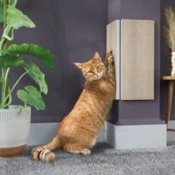 Way Basics Eco ZBoard Corner Wall Cat Scratching Pad 6 Way Basics Eco ZBoard Corner Wall Cat Scratching Pad -Trixie || Catit || Nature's Miracle Shop 675318 PT1. AC SS1800 V1665781228