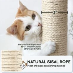 Yaheetech Multi-Level 63-in Plush Cat Tree -Trixie || Catit || Nature's Miracle Shop 677222 PT7. AC SS1800 V1666043933