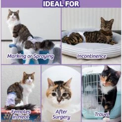 Hartz Disposable Cat Diaper & Hartz Delectables Bisque Senior 10+ Tuna & Chicken Lickable Cat Treat 14 Hartz Disposable Cat Diaper & Hartz Delectables Bisque Senior 10+ Tuna & Chicken Lickable Cat Treat -Trixie || Catit || Nature's Miracle Shop 678454 PT3. AC SS1800 V1671810650