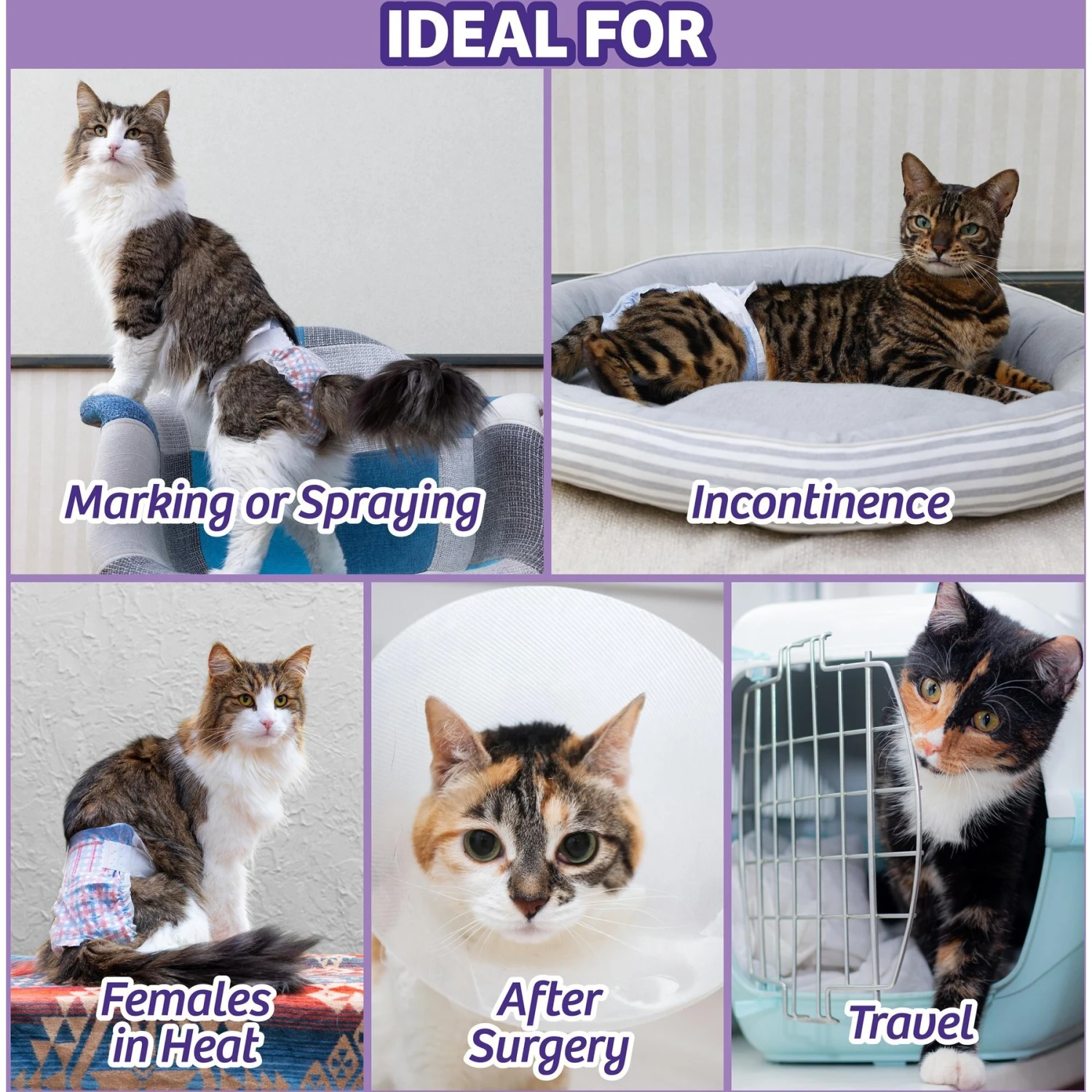 Hartz Disposable Cat Diaper & Hartz Delectables Bisque Senior 10+ Tuna & Chicken Lickable Cat Treat 6 Hartz Disposable Cat Diaper & Hartz Delectables Bisque Senior 10+ Tuna & Chicken Lickable Cat Treat - Image 4