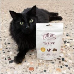Hemp Well Thrive Skin & Coat Soft Chew Supplement For Cats, 60 Count 13 Hemp Well Thrive Skin & Coat Soft Chew Supplement For Cats, 60 Count -Trixie || Catit || Nature's Miracle Shop 685198 PT3. AC SS1800 V1700689846