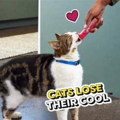 Temptations Creamy Puree With Beef Liver Lickable, Squeezable Cat Treat 19 Temptations Creamy Puree With Beef Liver Lickable, Squeezable Cat Treat -Trixie || Catit || Nature's Miracle Shop 691166 PT8. AC SS1800 V1703797867