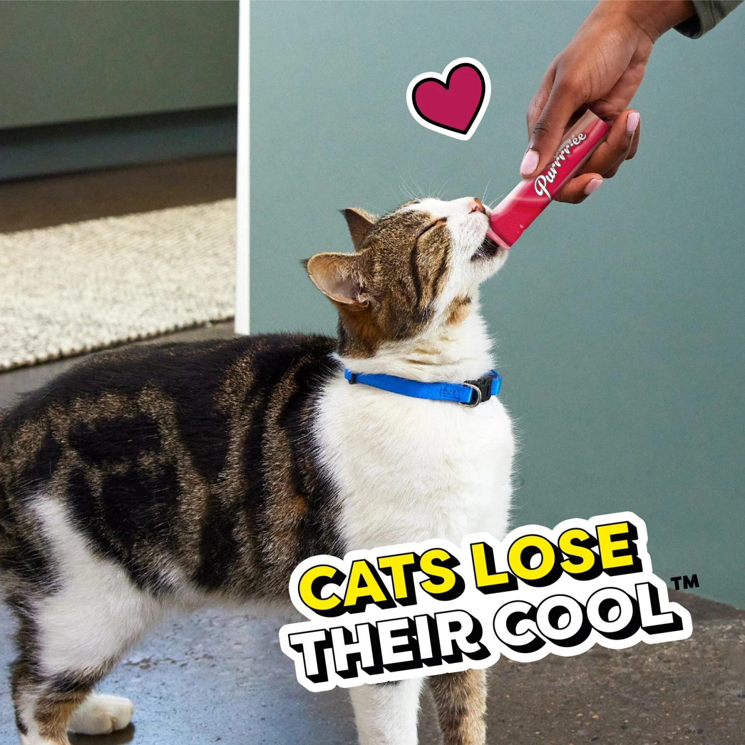 Temptations Creamy Puree With Beef Liver Lickable, Squeezable Cat Treat 11 Temptations Creamy Puree With Beef Liver Lickable, Squeezable Cat Treat - Image 9