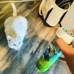 Meowijuana Rocky Mountain Mellow Chamomile, Dandelion, Honeysuckle Blend Catnip, 26-gm Bottle -Trixie || Catit || Nature's Miracle Shop 692502 PT4. AC SS1800 V1669386803