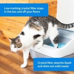 PetSafe ScoopFree Premium Crystal Litter 2-Pack & PetSafe ScoopFree Complete Reusable Litter Tray -Trixie || Catit || Nature's Miracle Shop 694158 PT2. AC SS1800 V1668532511