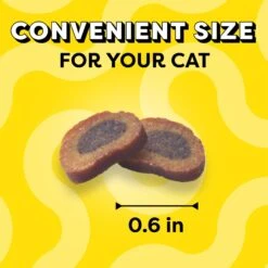 Temptations Meaty MixUps Salmon & Tuna Bites Soft & Chewy Cat Treats -Trixie || Catit || Nature's Miracle Shop 695950 PT2. AC SS1800 V1667355340